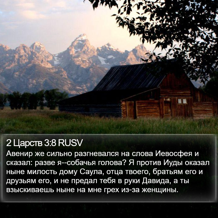 2 Царств 3:8 RUSV Bible Study