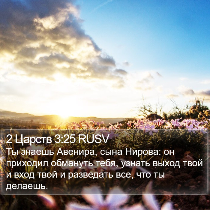 2 Царств 3:25 RUSV Bible Study