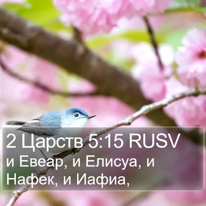 2 Царств 5:15 RUSV Bible Study