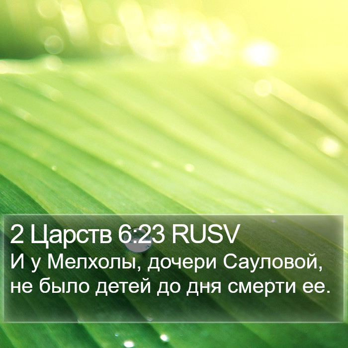 2 Царств 6:23 RUSV Bible Study