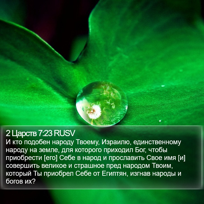 2 Царств 7:23 RUSV Bible Study