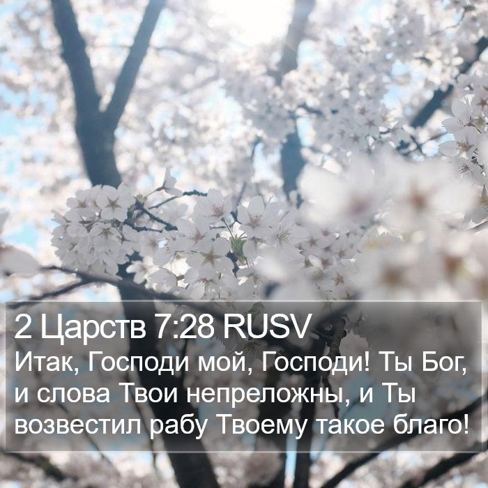 2 Царств 7:28 RUSV Bible Study