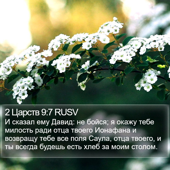 2 Царств 9:7 RUSV Bible Study