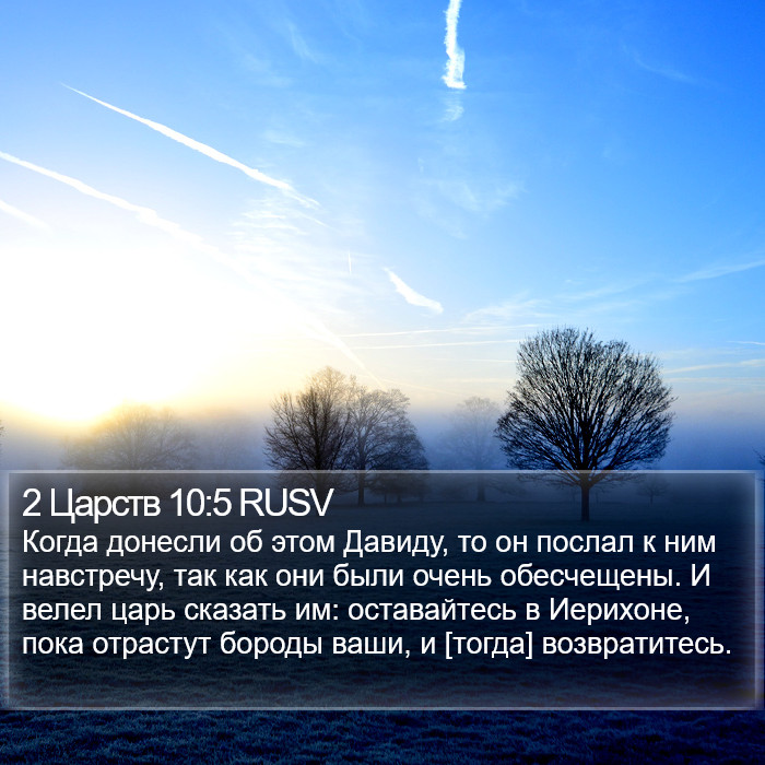 2 Царств 10:5 RUSV Bible Study