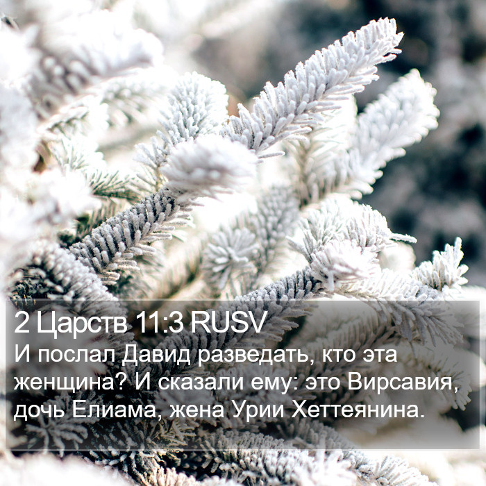 2 Царств 11:3 RUSV Bible Study