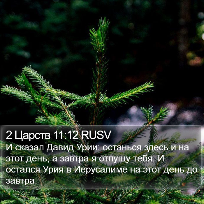 2 Царств 11:12 RUSV Bible Study