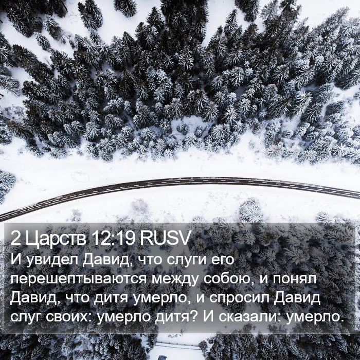 2 Царств 12:19 RUSV Bible Study