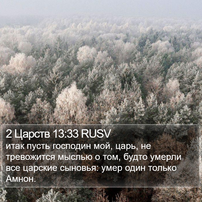 2 Царств 13:33 RUSV Bible Study