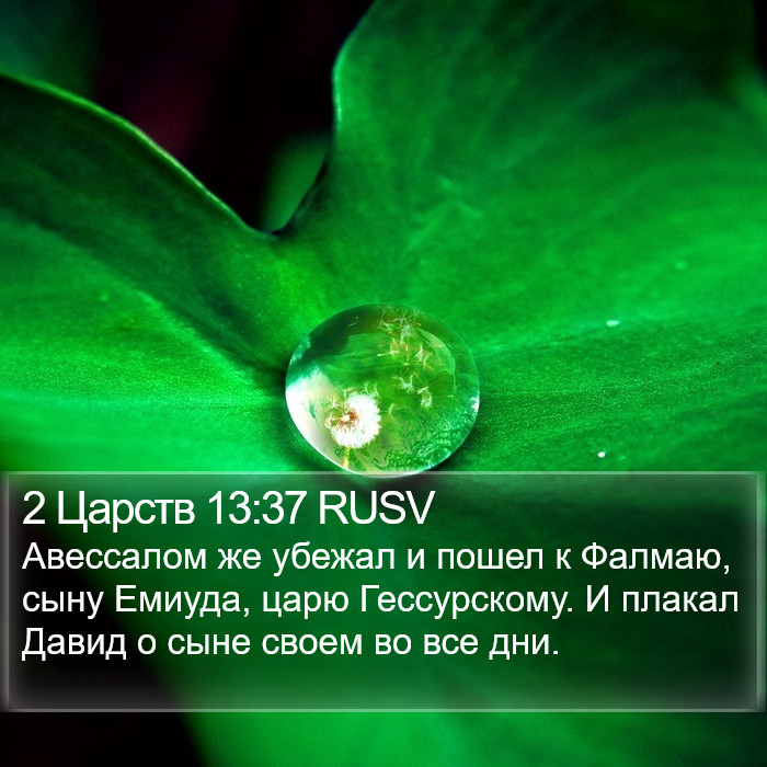 2 Царств 13:37 RUSV Bible Study