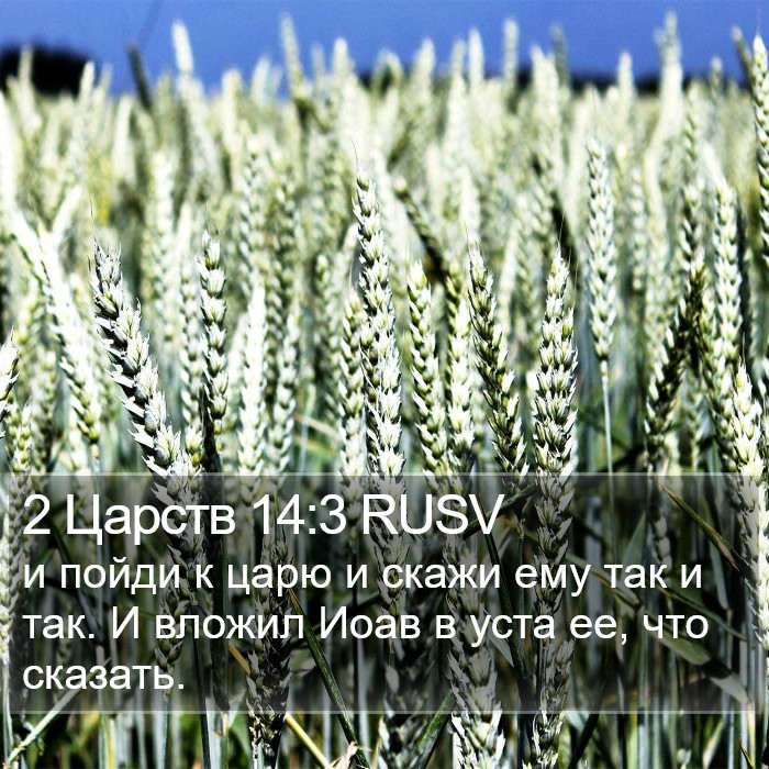 2 Царств 14:3 RUSV Bible Study