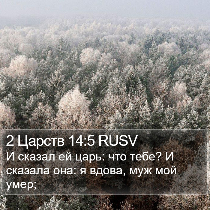 2 Царств 14:5 RUSV Bible Study