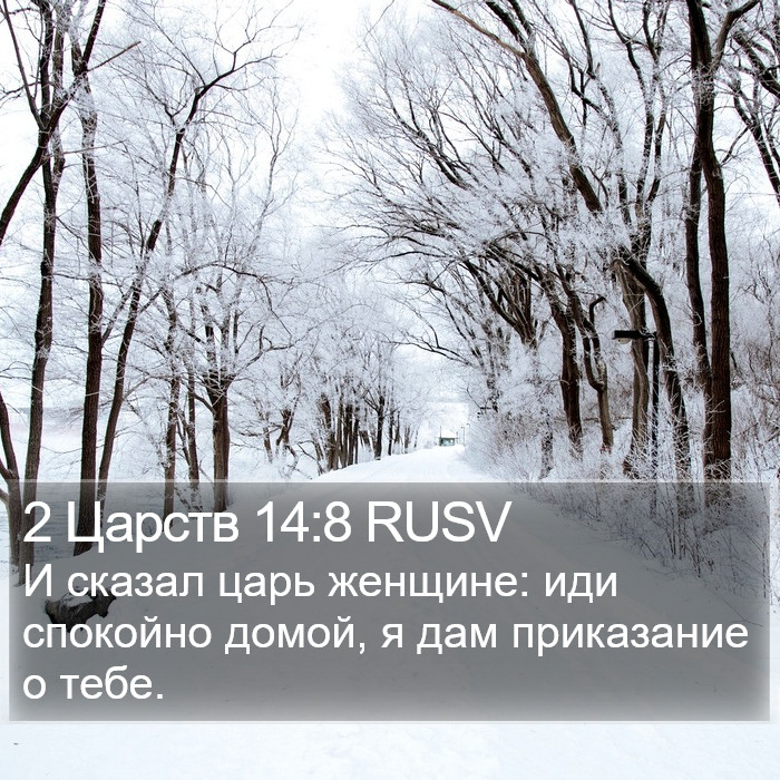 2 Царств 14:8 RUSV Bible Study