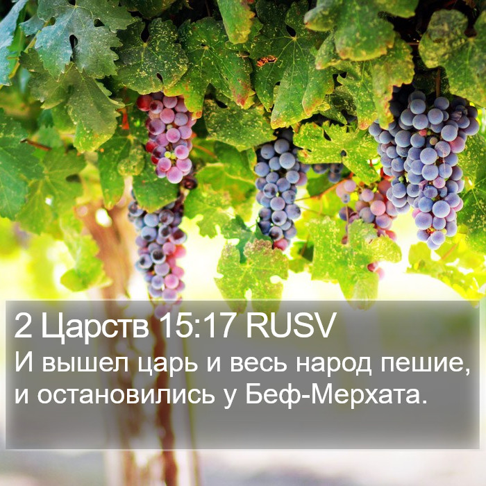 2 Царств 15:17 RUSV Bible Study