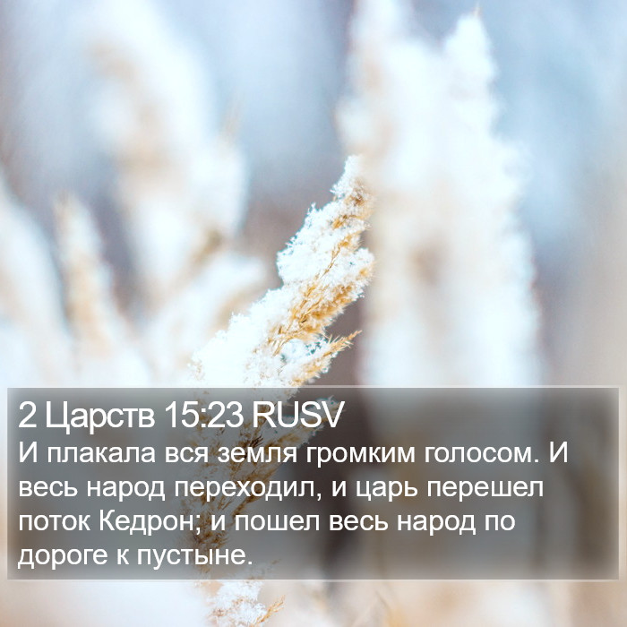 2 Царств 15:23 RUSV Bible Study