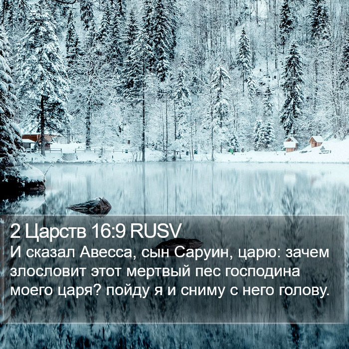 2 Царств 16:9 RUSV Bible Study