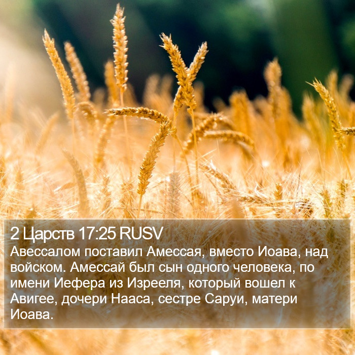 2 Царств 17:25 RUSV Bible Study
