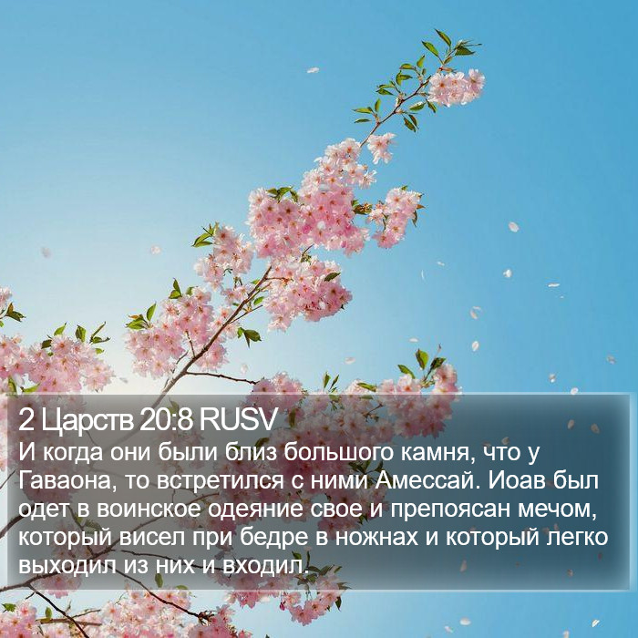 2 Царств 20:8 RUSV Bible Study