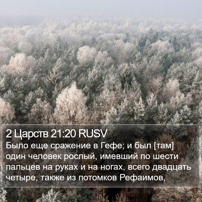 2 Царств 21:20 RUSV Bible Study