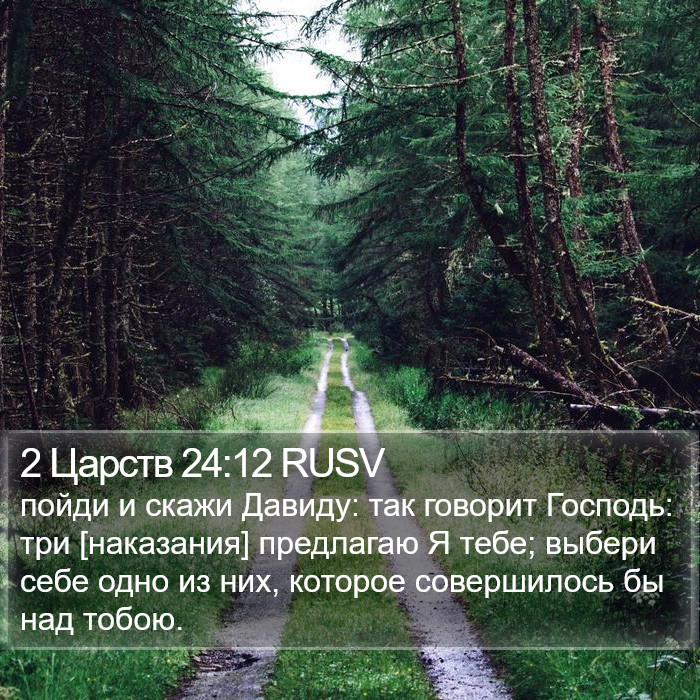 2 Царств 24:12 RUSV Bible Study