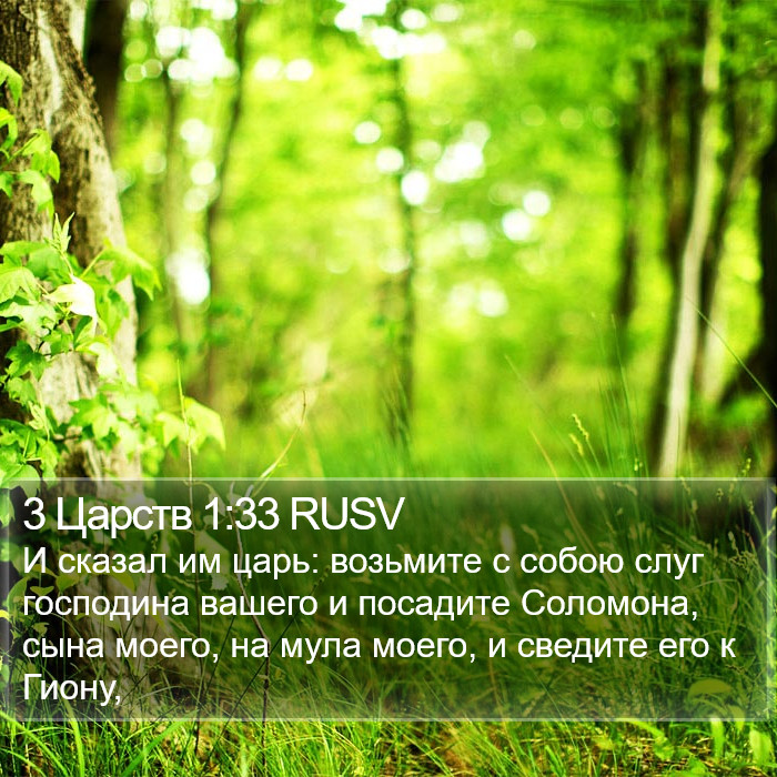 3 Царств 1:33 RUSV Bible Study