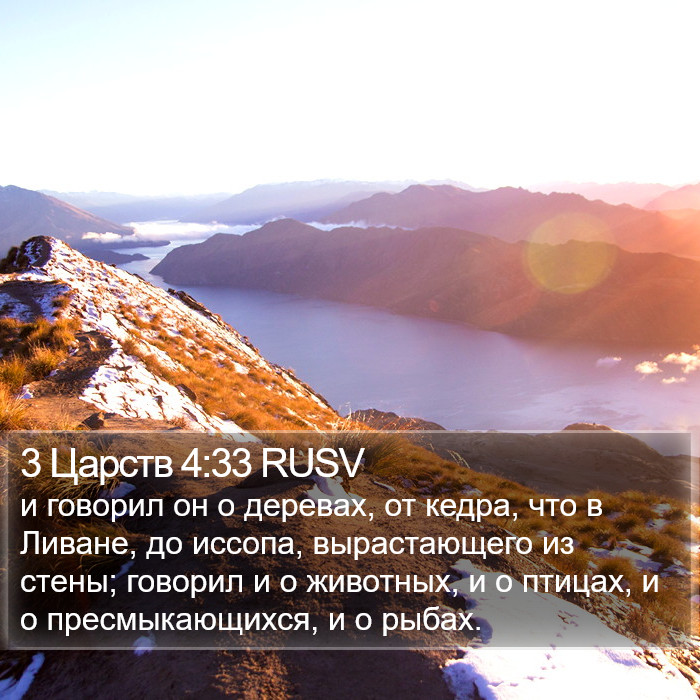 3 Царств 4:33 RUSV Bible Study