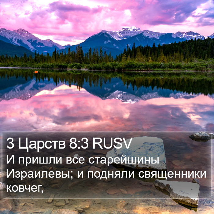 3 Царств 8:3 RUSV Bible Study