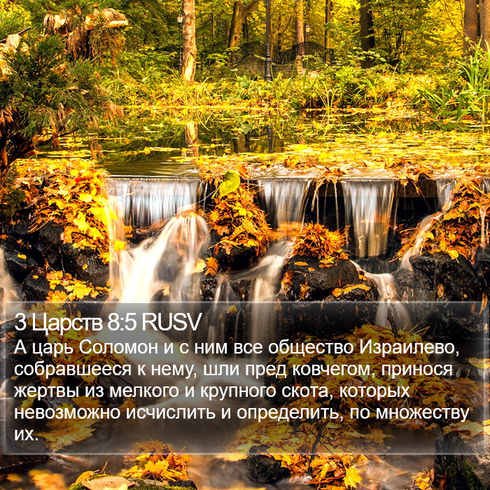 3 Царств 8:5 RUSV Bible Study