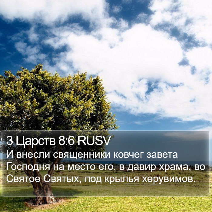 3 Царств 8:6 RUSV Bible Study