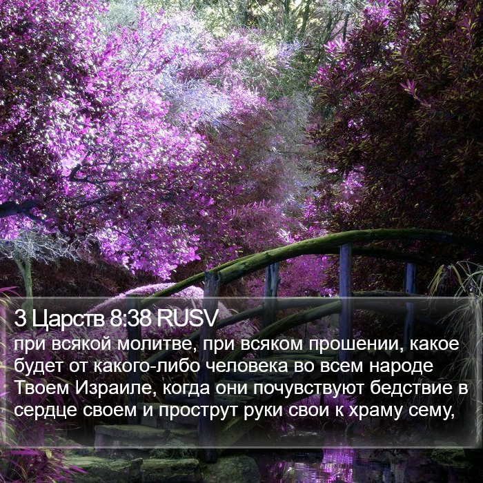 3 Царств 8:38 RUSV Bible Study