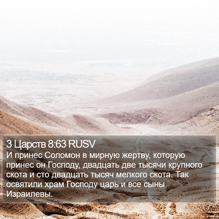 3 Царств 8:63 RUSV Bible Study