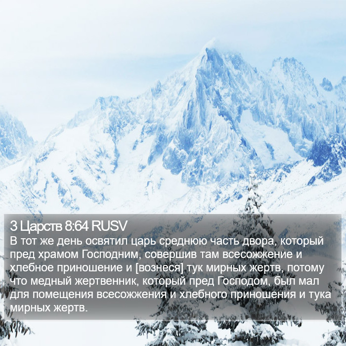 3 Царств 8:64 RUSV Bible Study