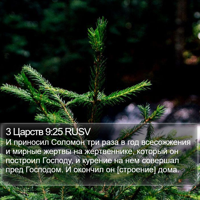 3 Царств 9:25 RUSV Bible Study