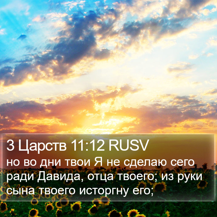 3 Царств 11:12 RUSV Bible Study