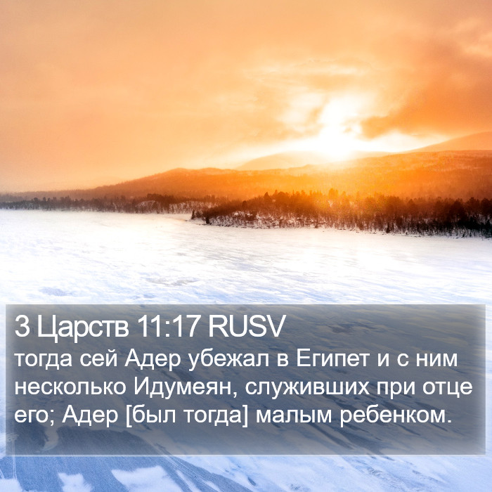 3 Царств 11:17 RUSV Bible Study