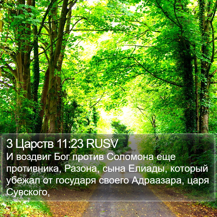 3 Царств 11:23 RUSV Bible Study