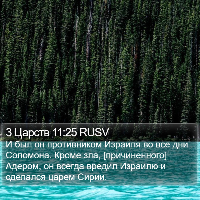 3 Царств 11:25 RUSV Bible Study