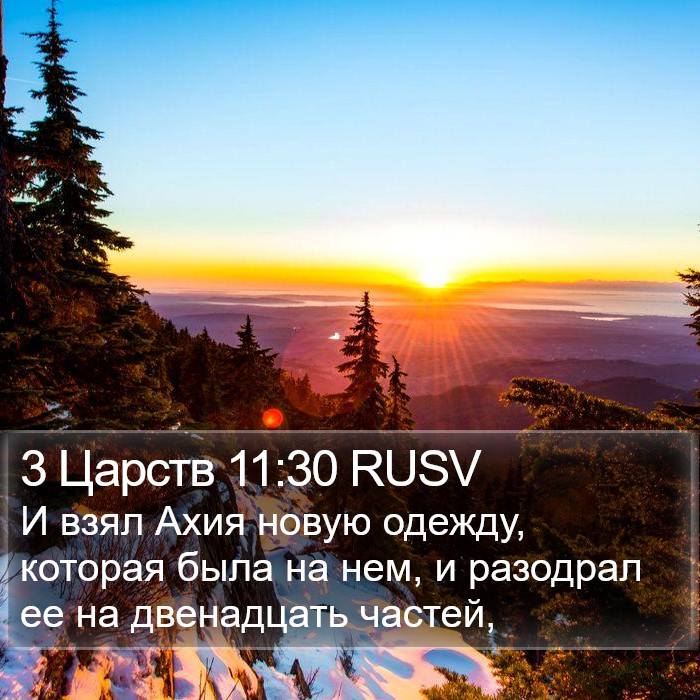 3 Царств 11:30 RUSV Bible Study