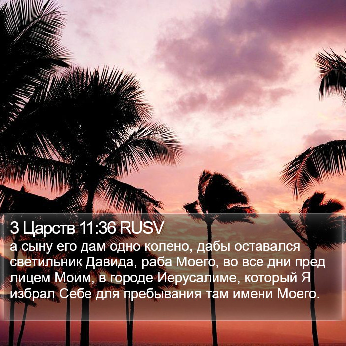 3 Царств 11:36 RUSV Bible Study