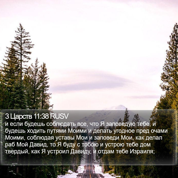 3 Царств 11:38 RUSV Bible Study