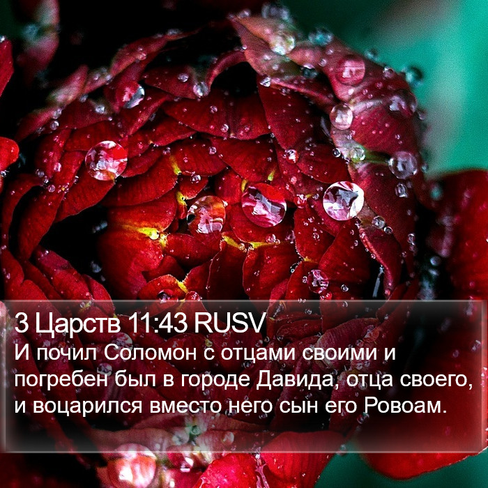 3 Царств 11:43 RUSV Bible Study