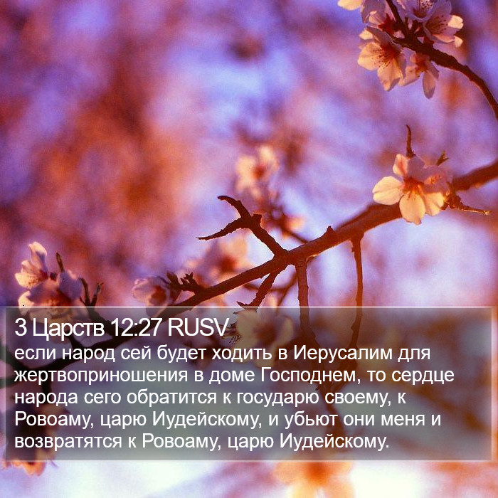 3 Царств 12:27 RUSV Bible Study