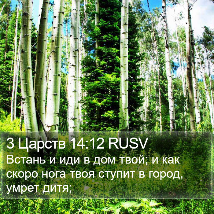 3 Царств 14:12 RUSV Bible Study