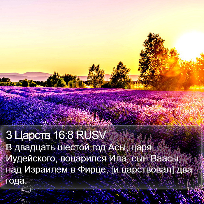 3 Царств 16:8 RUSV Bible Study