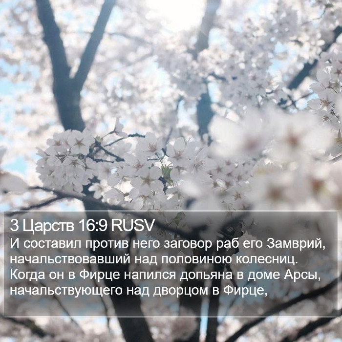 3 Царств 16:9 RUSV Bible Study