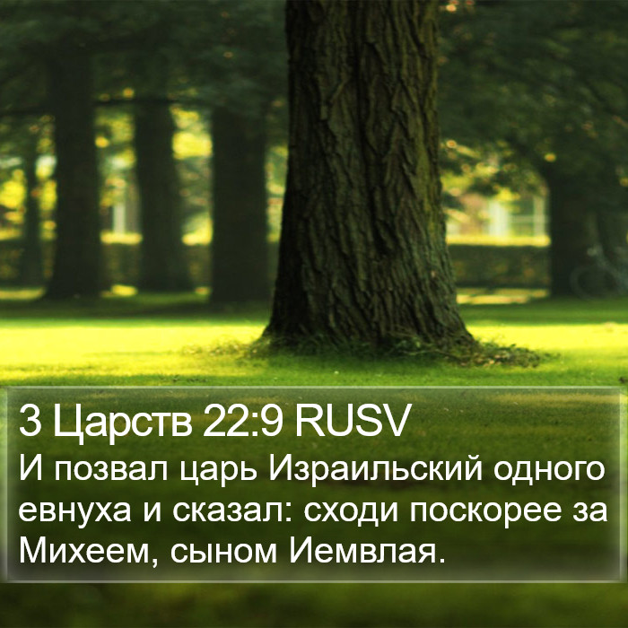 3 Царств 22:9 RUSV Bible Study