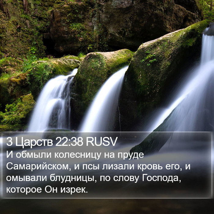 3 Царств 22:38 RUSV Bible Study