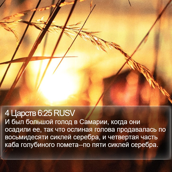 4 Царств 6:25 RUSV Bible Study