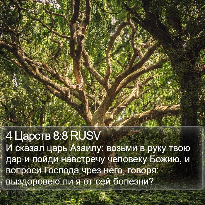 4 Царств 8:8 RUSV Bible Study