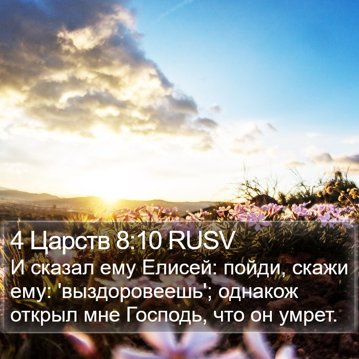 4 Царств 8:10 RUSV Bible Study