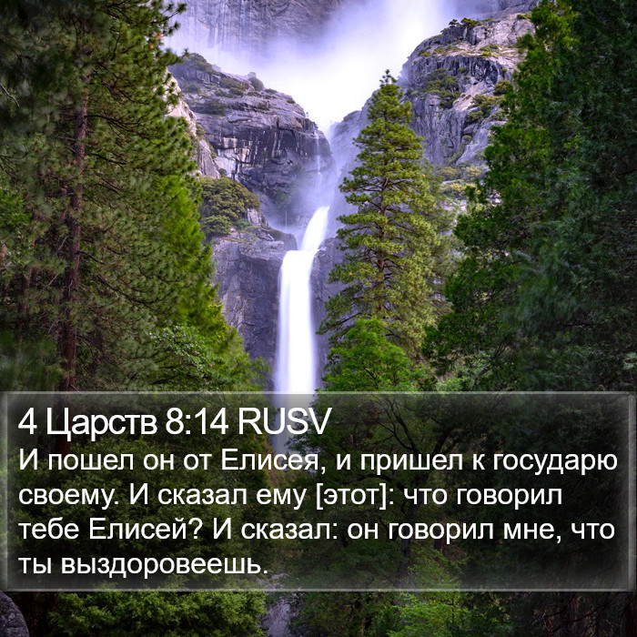 4 Царств 8:14 RUSV Bible Study